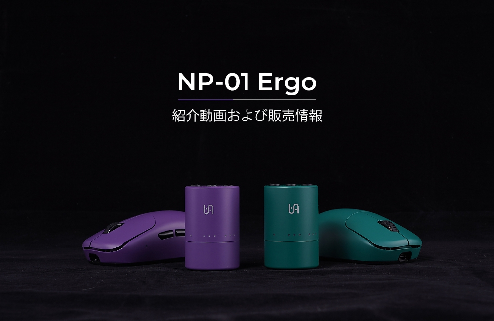NP-01 Ergo