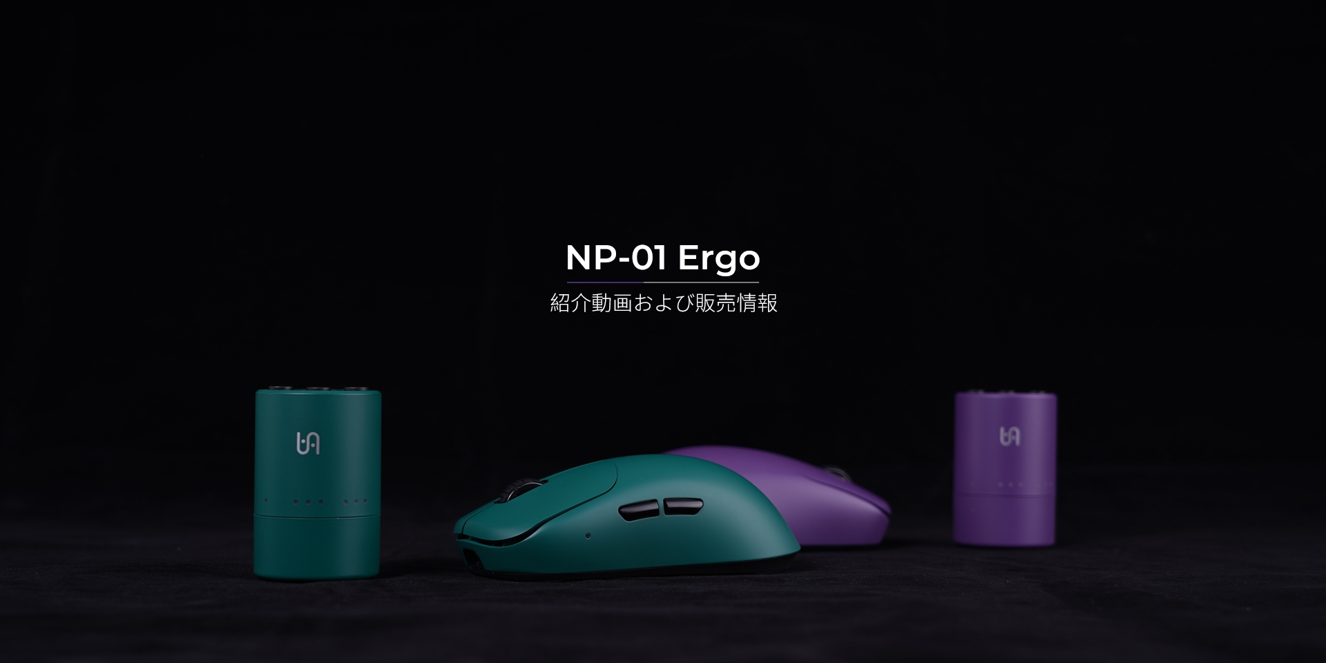 NP-01 Ergo