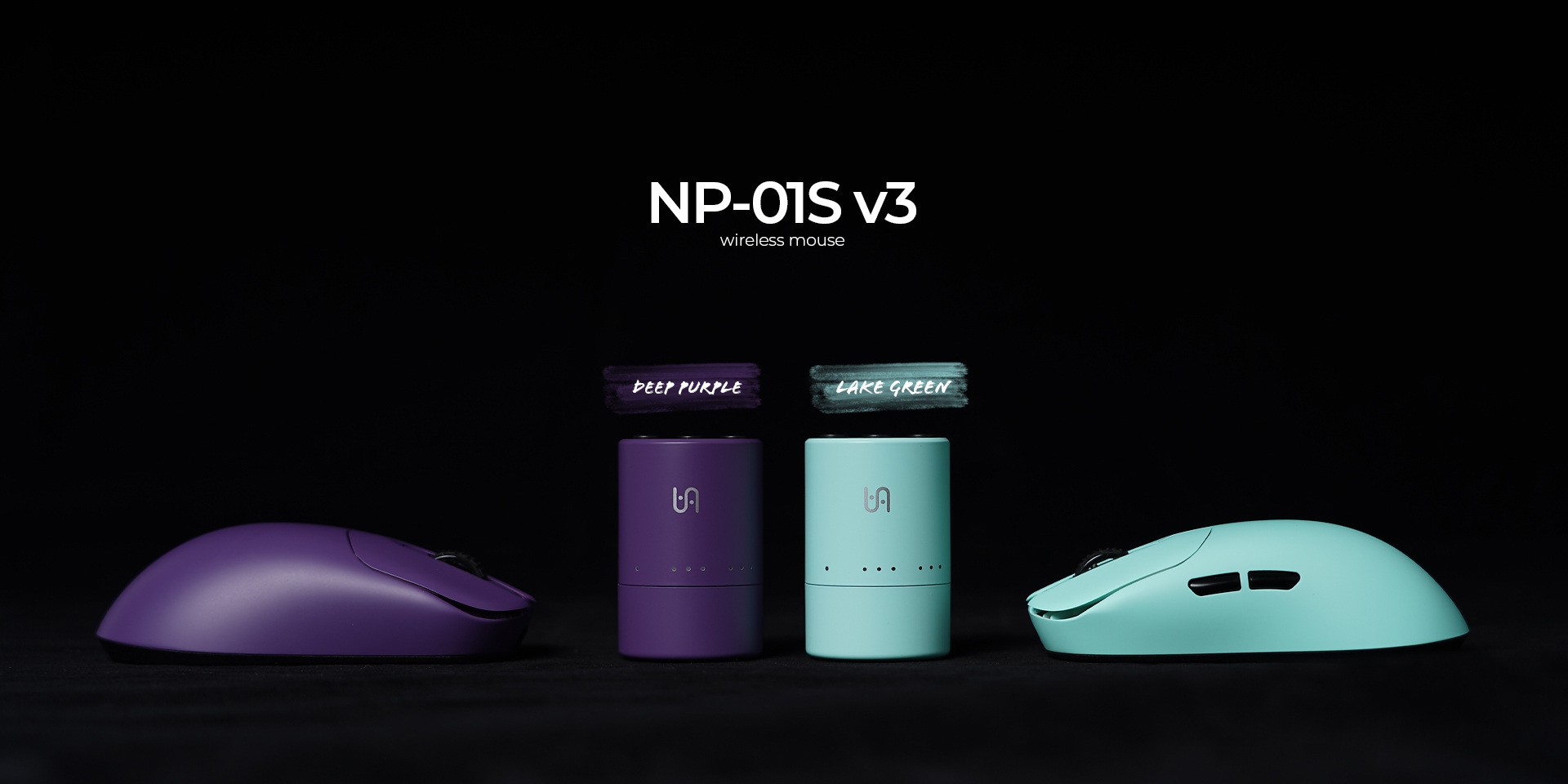 NPSV3_DPLG