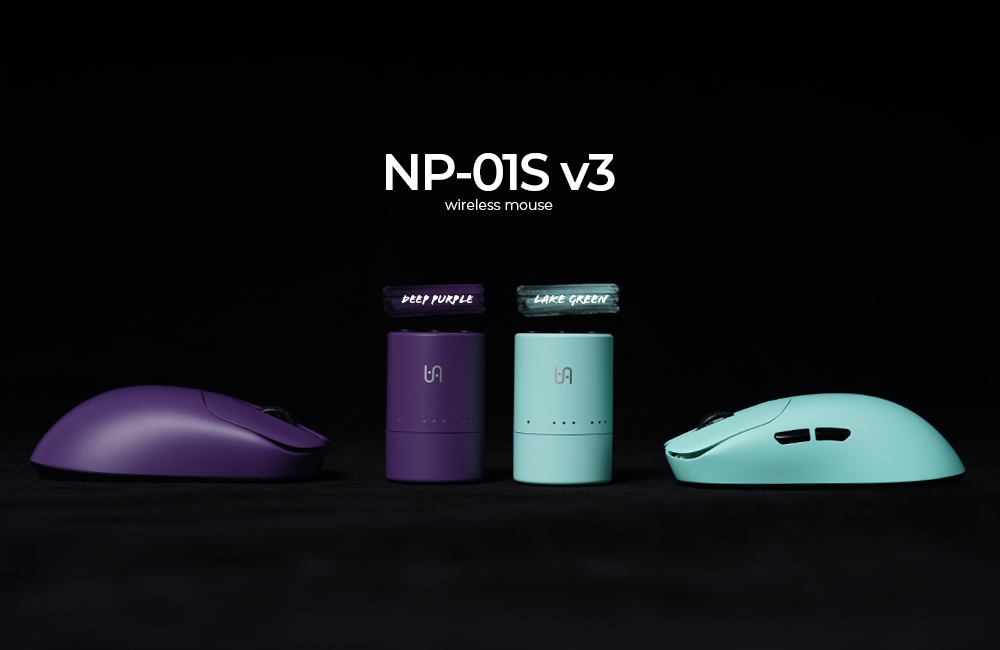 NPSV3_DPLG